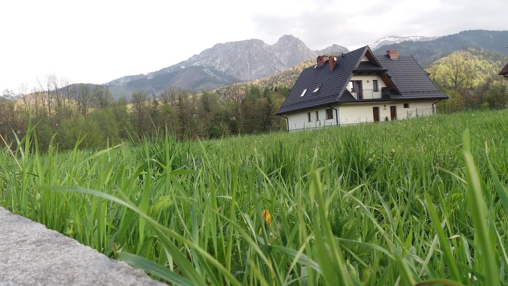 Willa W Dolinie Cichej Wody Zakopane Eksteriør bilde